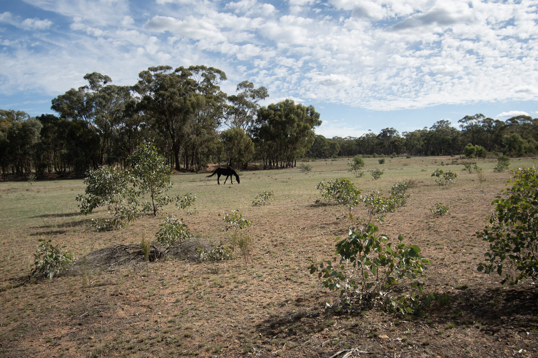 Land: CA 4 SEC 6/PART OF 639 MARYBOROUGH DUNOLLY ROAD, MARYBOROUGH, VIC, 3465 photo-2
