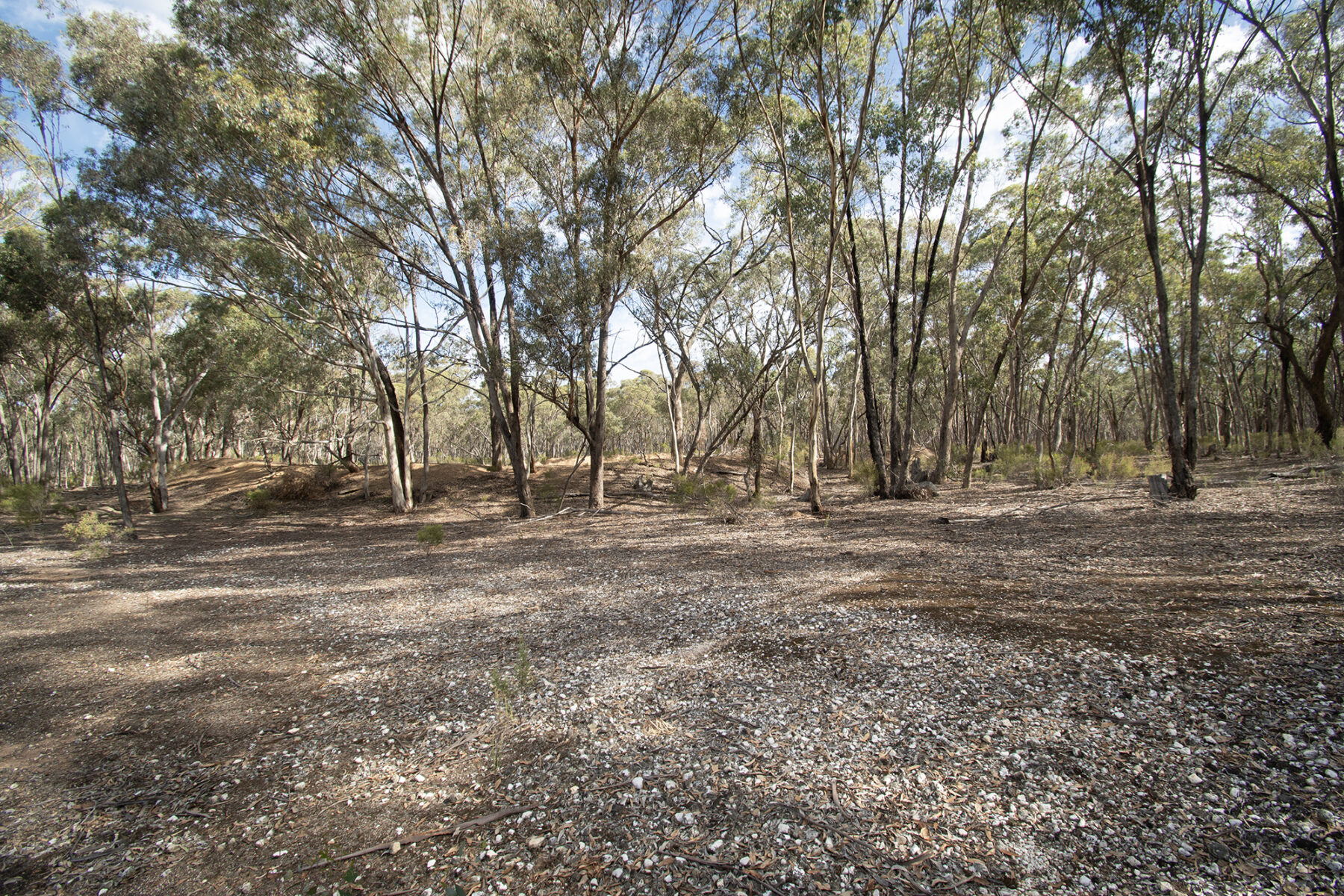 Land: CA 4 SEC 6/PART OF 639 MARYBOROUGH DUNOLLY ROAD, MARYBOROUGH, VIC, 3465 photo-4