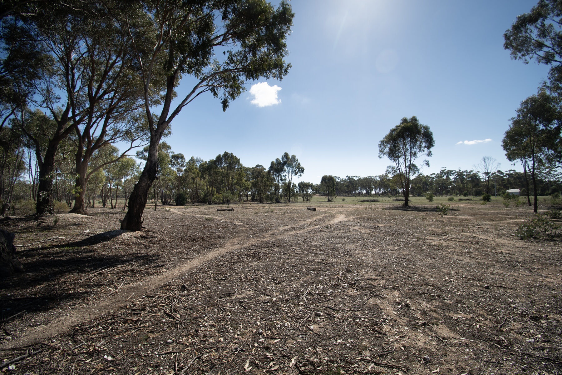 Land: 585 Maryborough-Dunolly Road, Havelock, VIC, 3465 photo-11