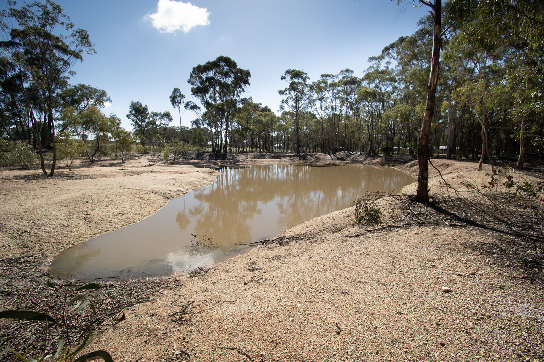 Land: 585 Maryborough-Dunolly Road, Havelock, VIC, 3465 photo-9