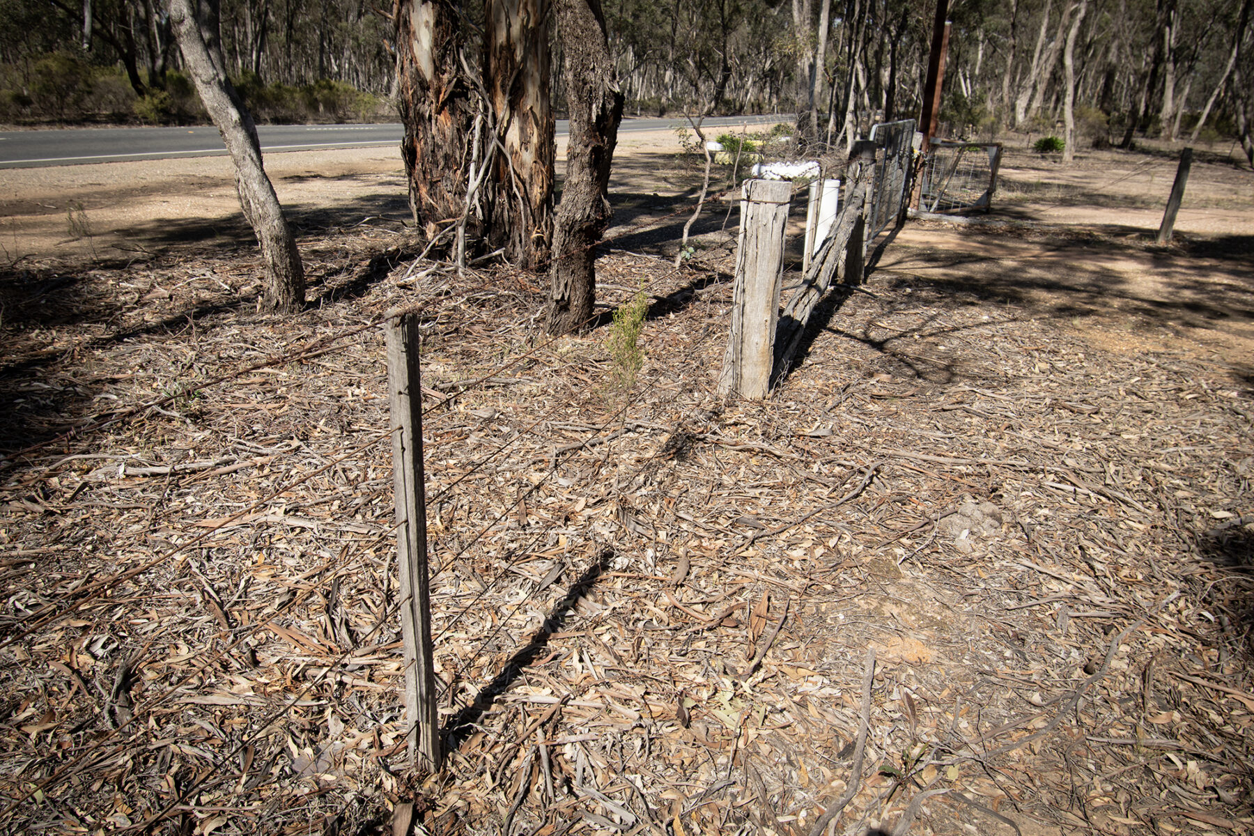 Land: 585 Maryborough-Dunolly Road, Havelock, VIC, 3465 photo-4