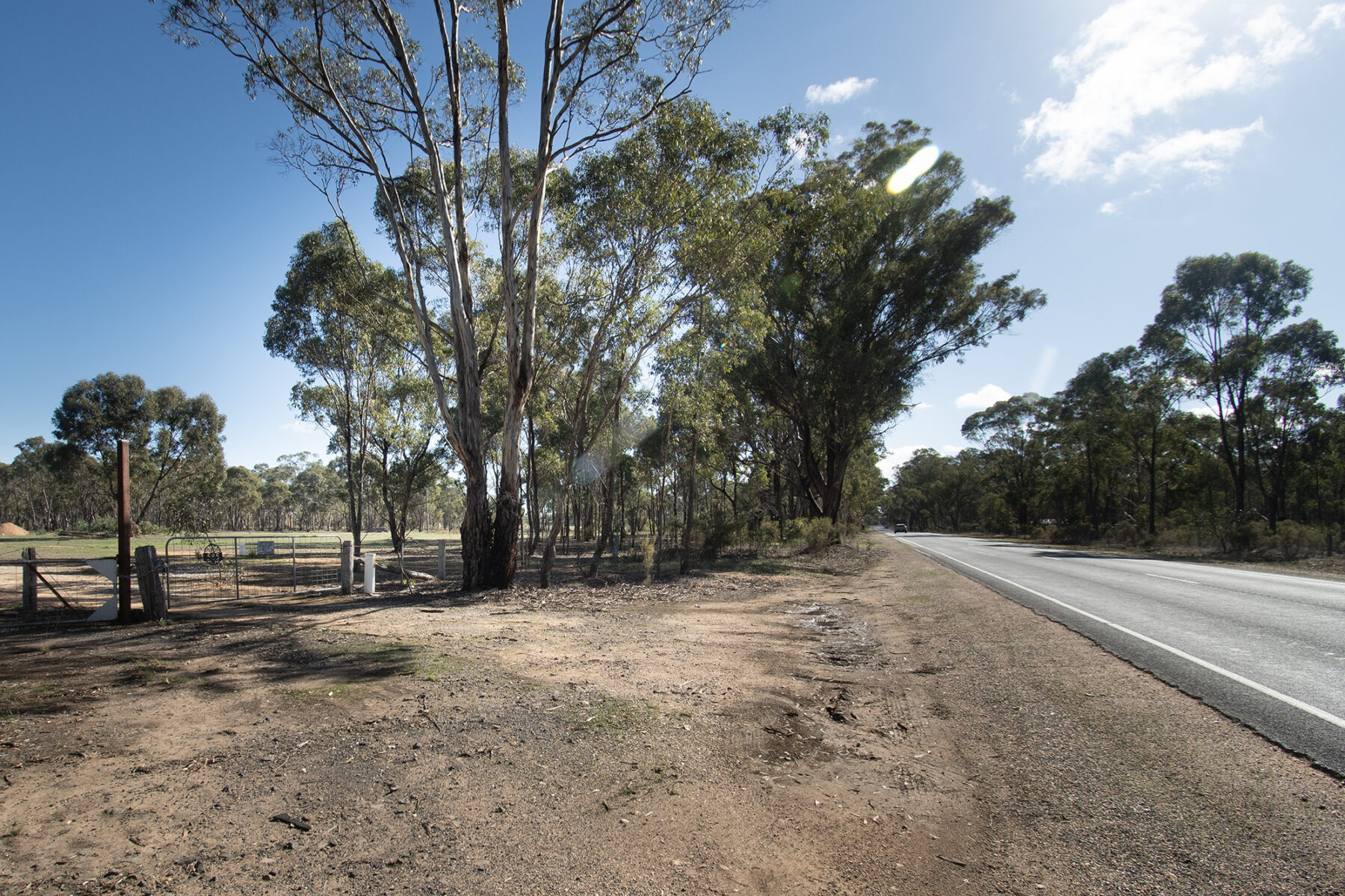 Land: 585 Maryborough-Dunolly Road, Havelock, VIC, 3465 photo-3