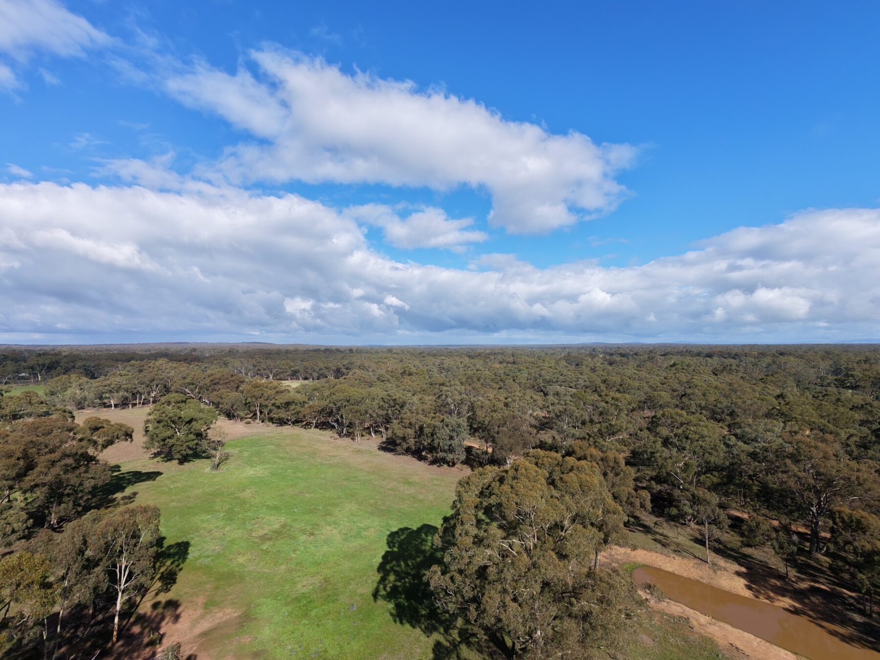 Property: 109 Maryborough - St Arnaud Road, Maryborough, VIC, 3465 photo-1