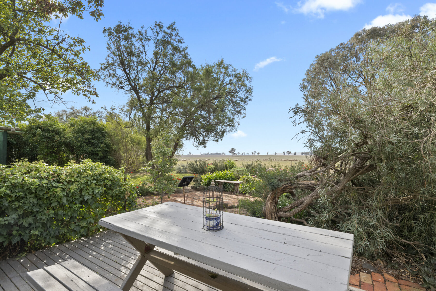 Property: 224 Plumpton Lane, Carisbrook, VIC, 3464 photo-3