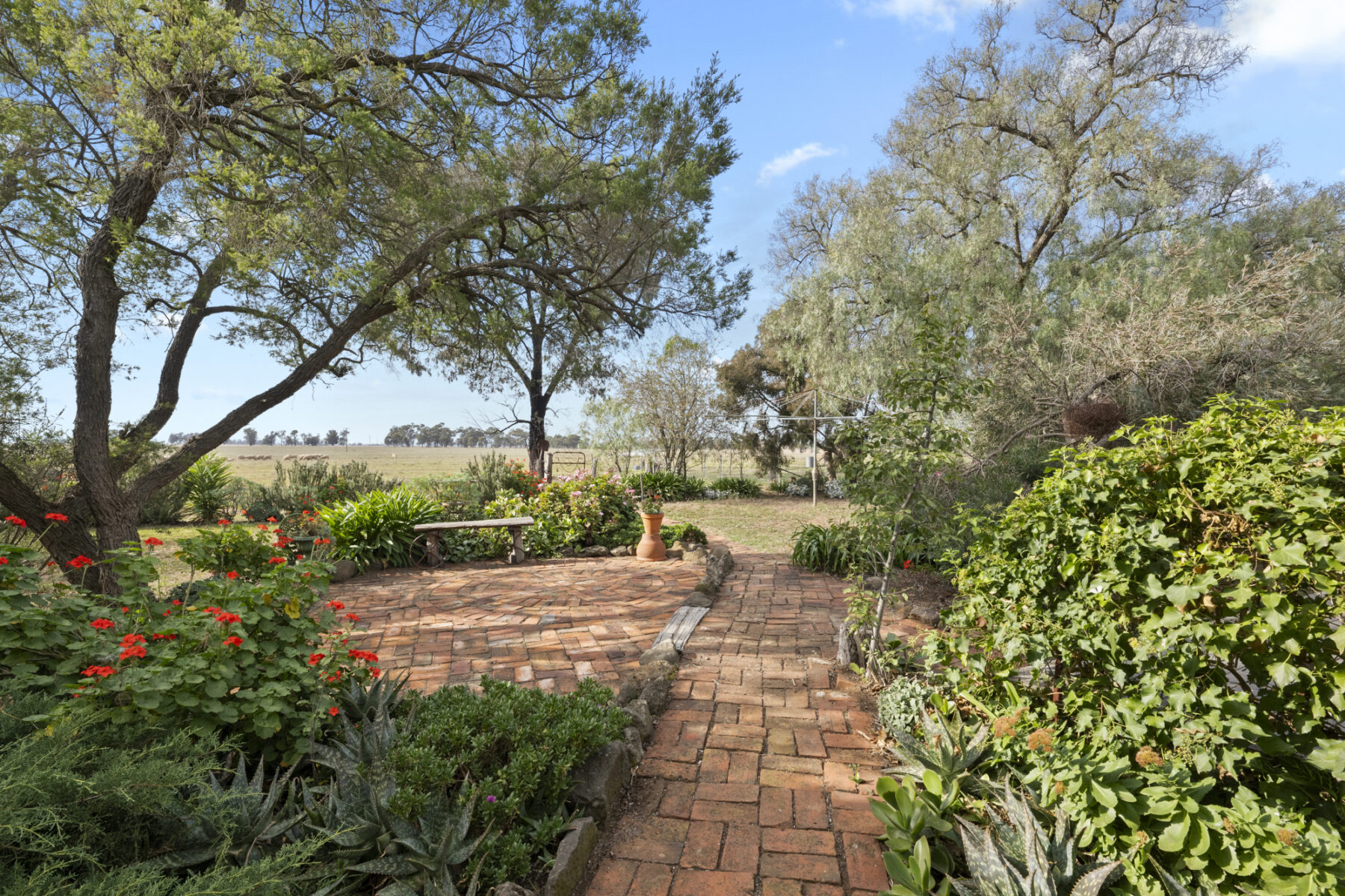 Property: 224 Plumpton Lane, Carisbrook, VIC, 3464 photo-5