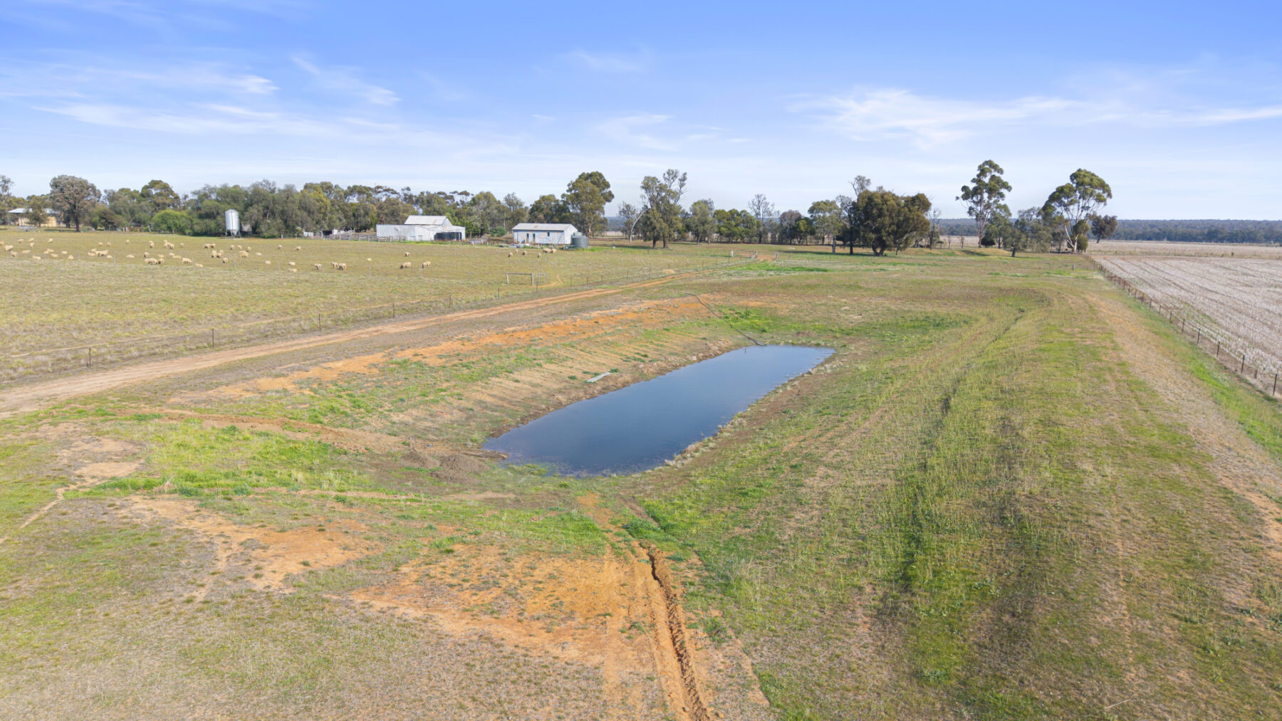 Property: 224 Plumpton Lane, Carisbrook, VIC, 3464 photo-10