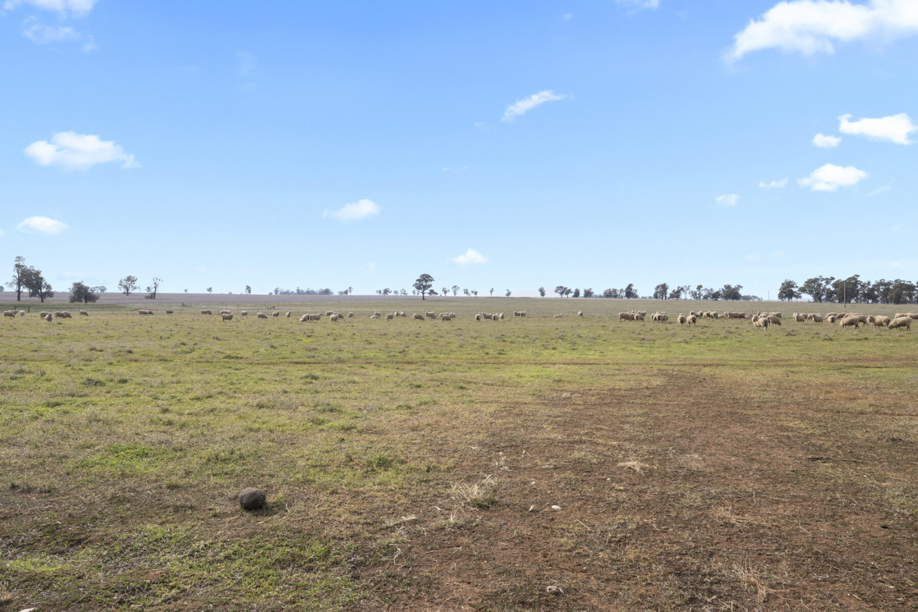 Property: 224 Plumpton Lane, Carisbrook, VIC, 3464 photo-12