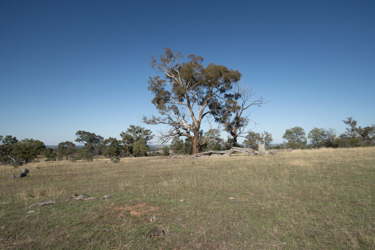 CA 9c Section 1 Known as 6 Mason Drive, Moliagul, Vic, 3472