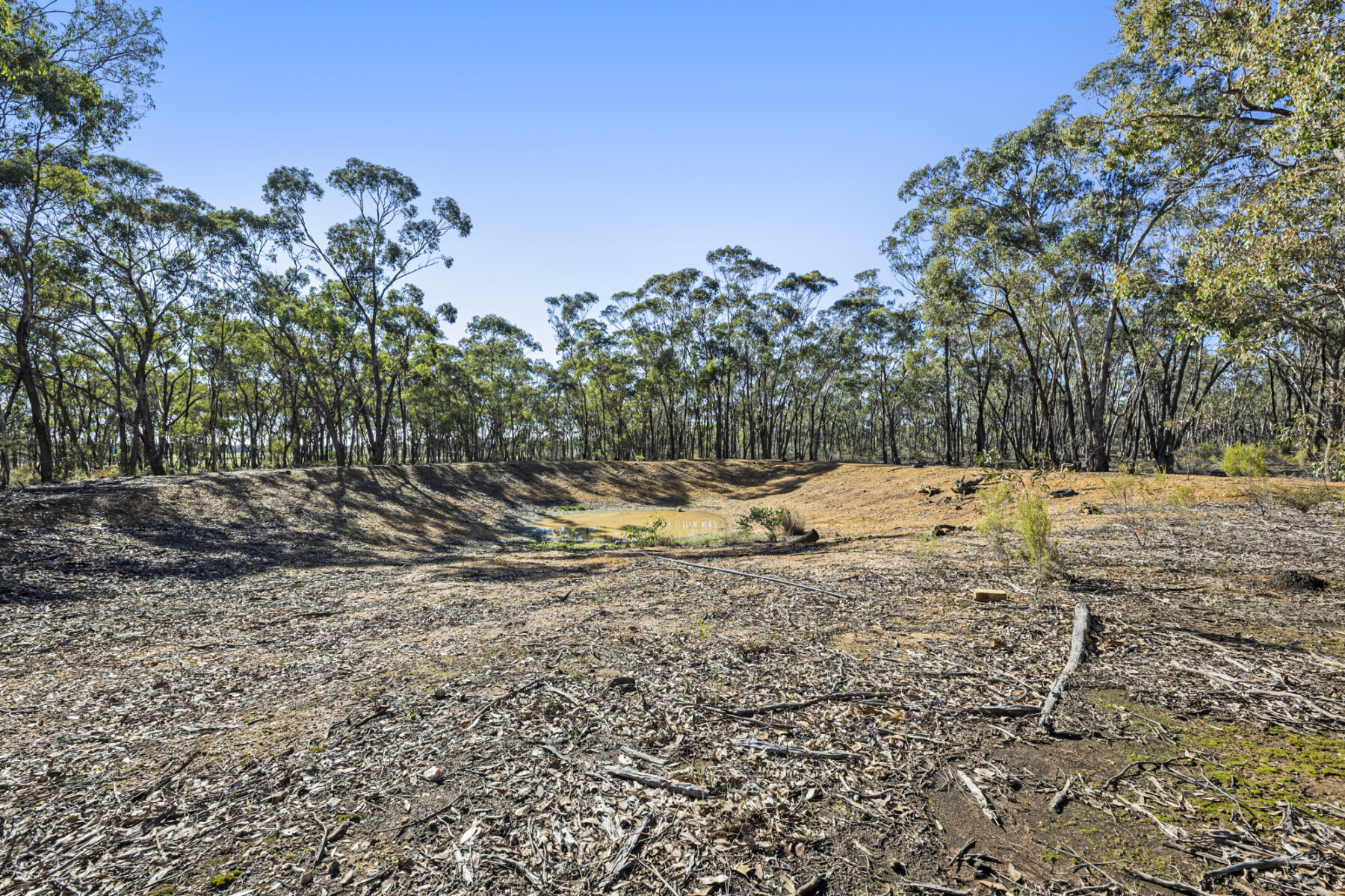 Property: 45 Ramon Close, Moonlight Flat, VIC, 3465 photo-16