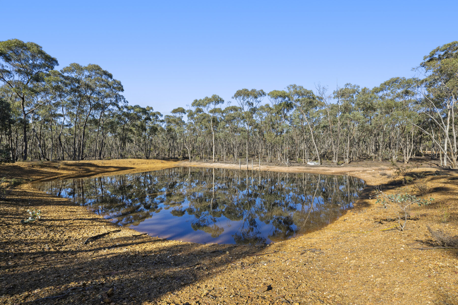 Property: 45 Ramon Close, Moonlight Flat, VIC, 3465 photo-17
