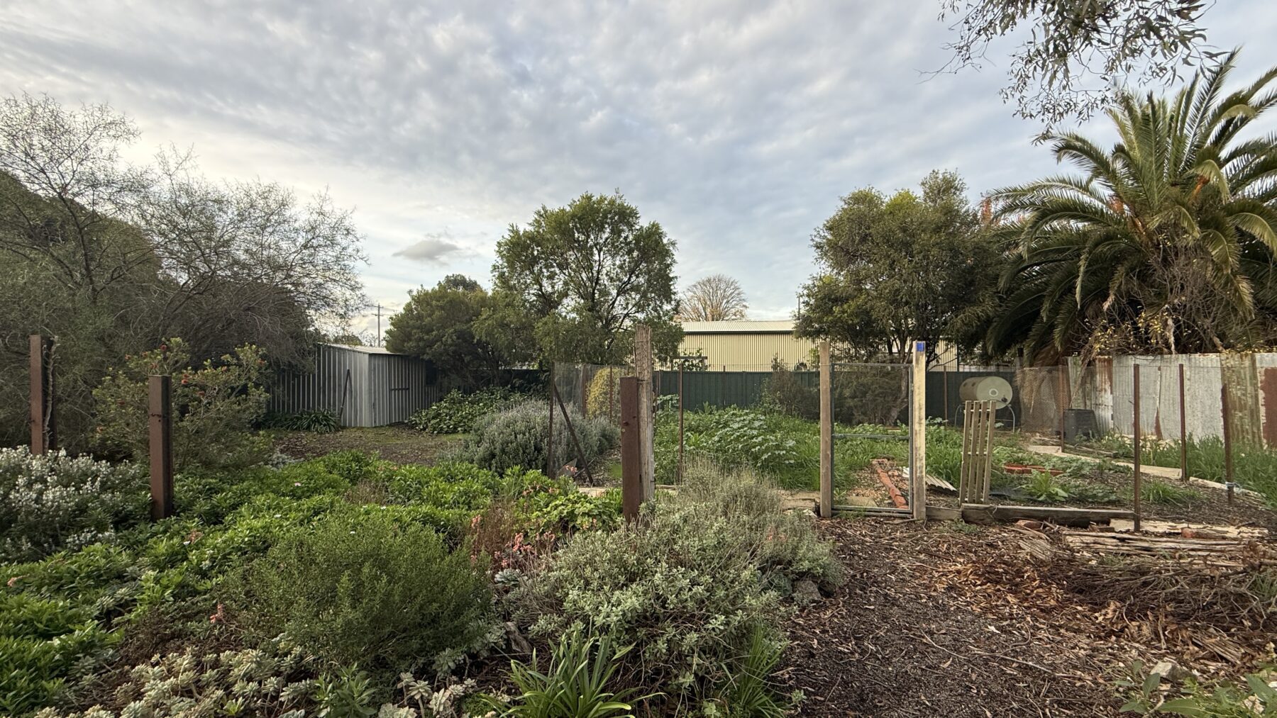 Property: 92 Maude Street, Dunolly, VIC, 3472 photo-1