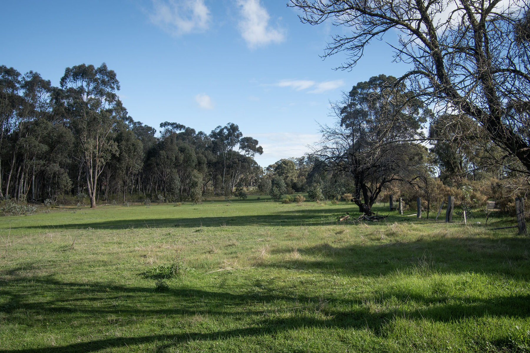 Land: CA 7 SEC K - PART OF/163 KICKS LANE, Dunolly, VIC, 3472 photo-0