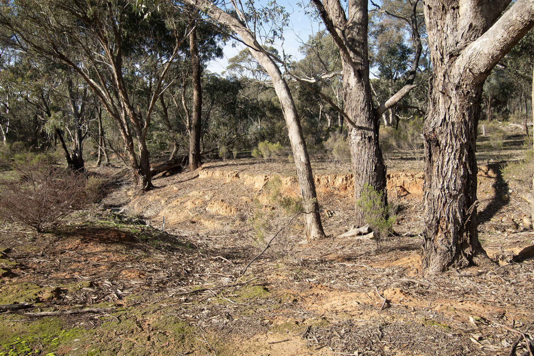 Land: CA 7 SEC K - PART OF/163 KICKS LANE, Dunolly, VIC, 3472 photo-2