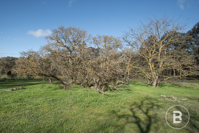 CA 7 SEC K - PART OF/163 KICKS LANE, Dunolly, VIC, 3472