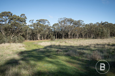 Land: CA 7 SEC K - PART OF/163 KICKS LANE, Dunolly, VIC, 3472 photo-7