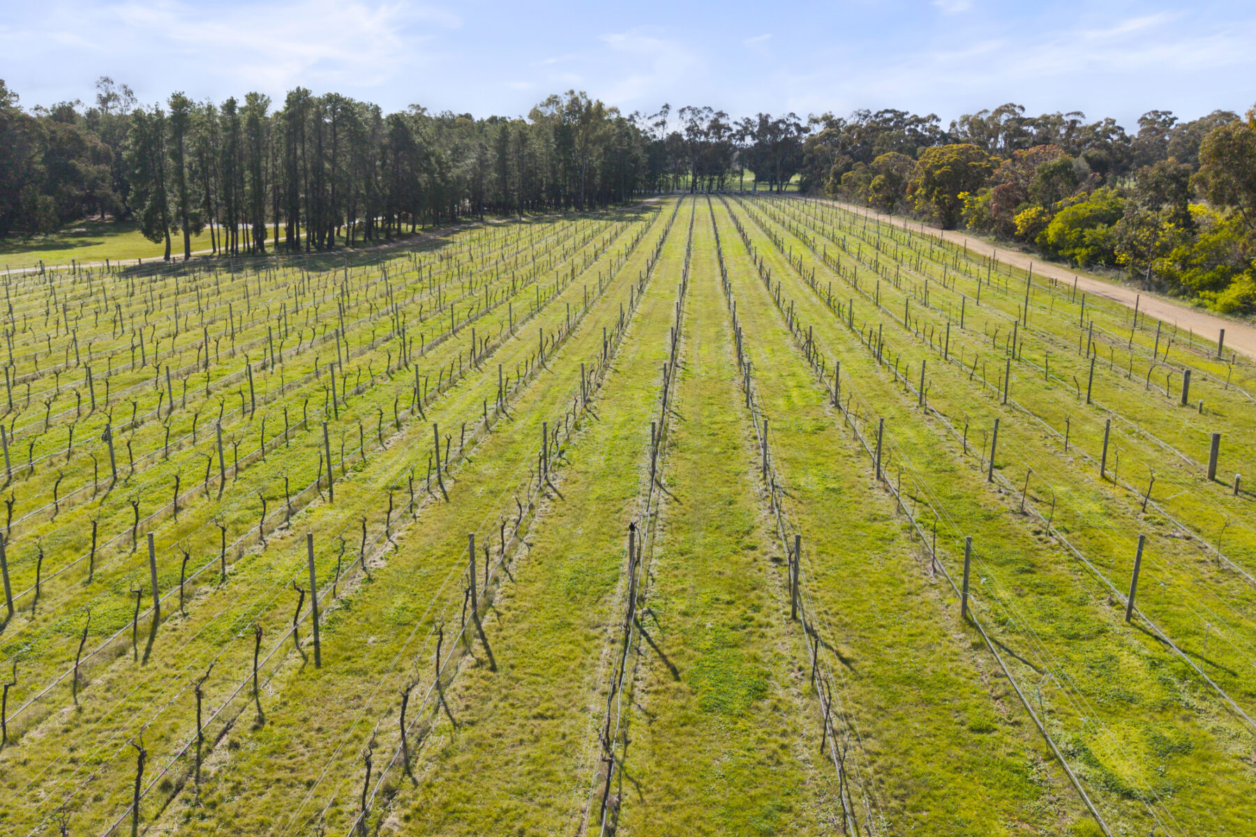 Property: 1819 Sunraysia Highway, Redbank, VIC, 3477 photo-18