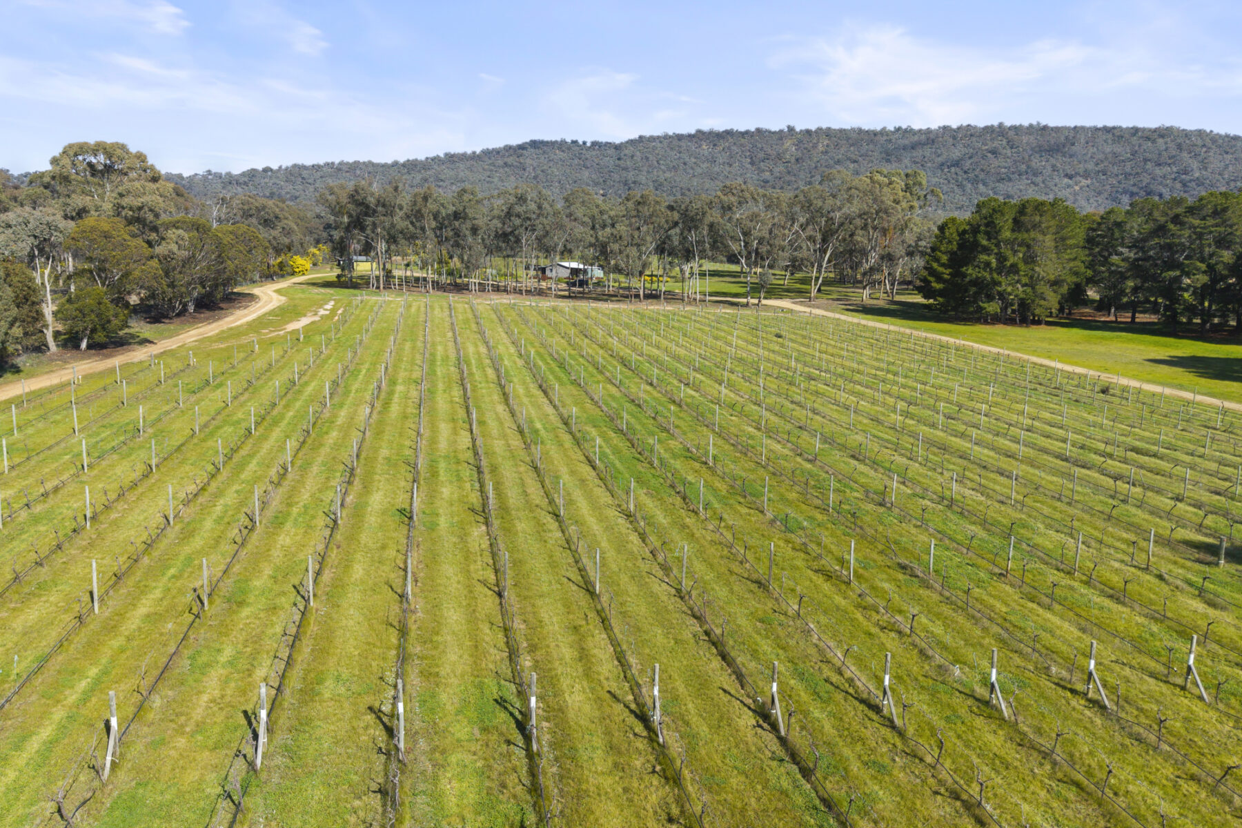 Property: 1819 Sunraysia Highway, Redbank, VIC, 3477 photo-19