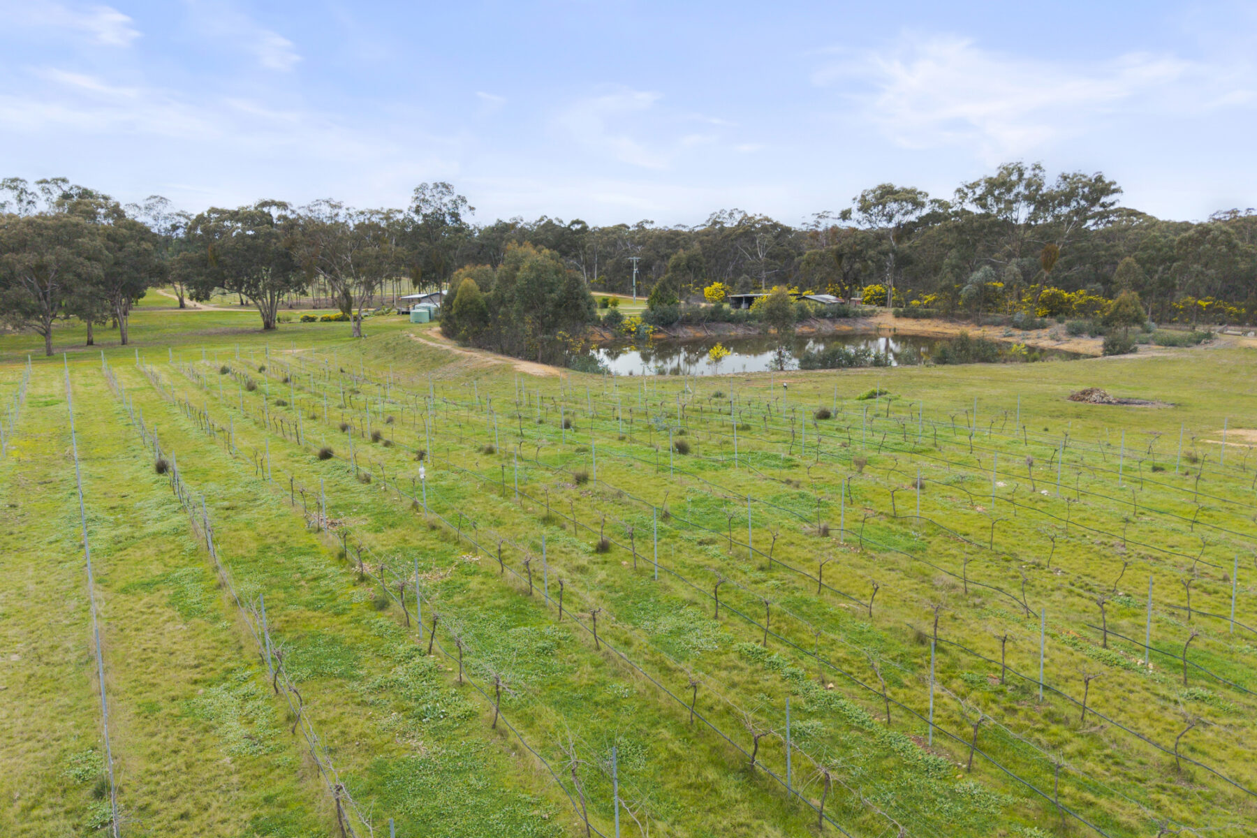 Property: 1819 Sunraysia Highway, Redbank, VIC, 3477 photo-25