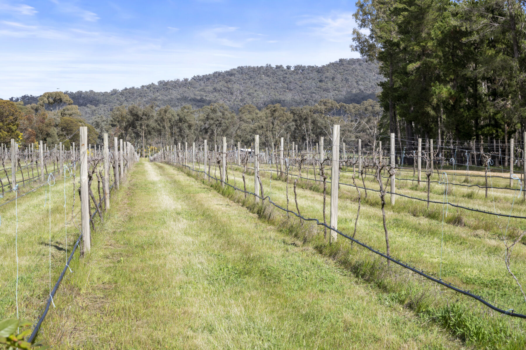 Property: 1819 Sunraysia Highway, Redbank, VIC, 3477 photo-4